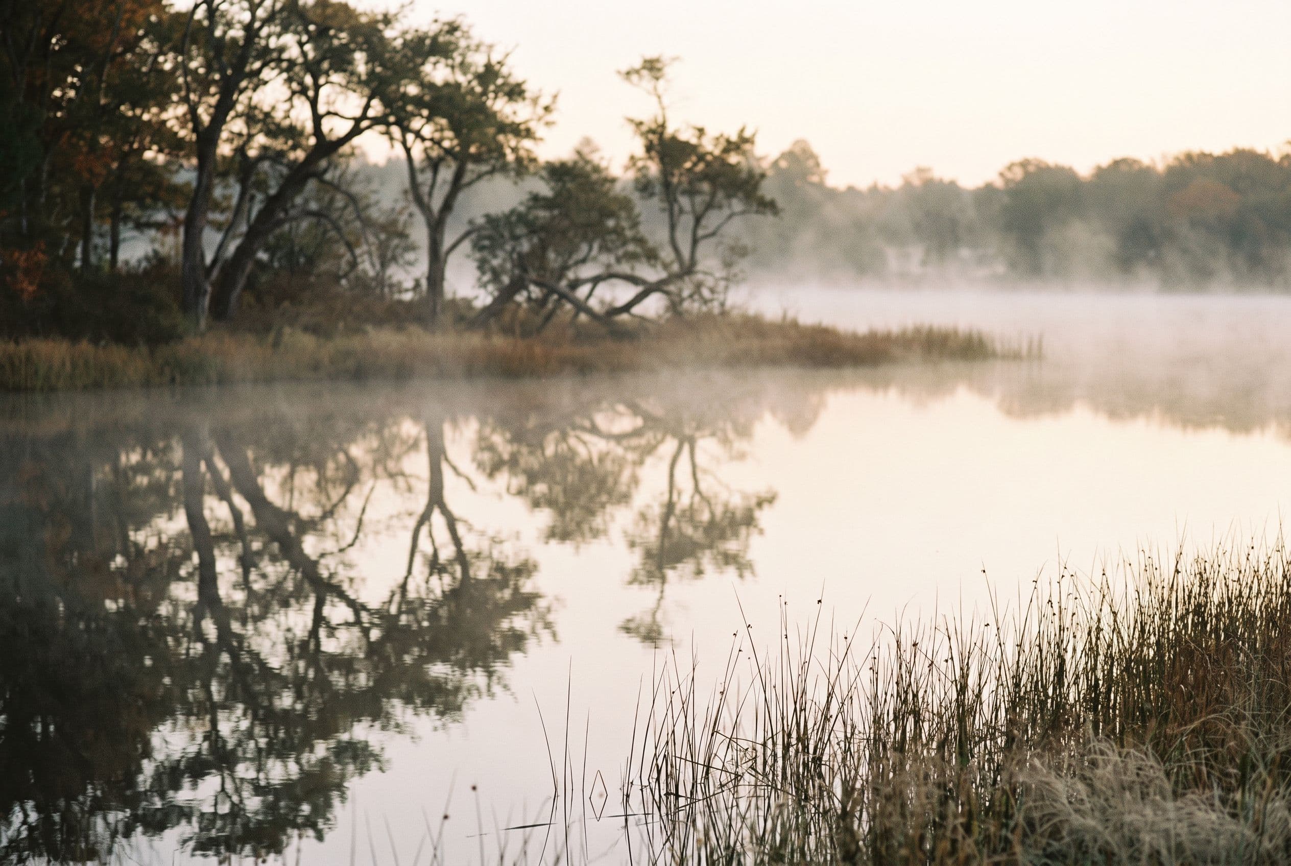 Still lake at dawn with tree reflections and low mist
