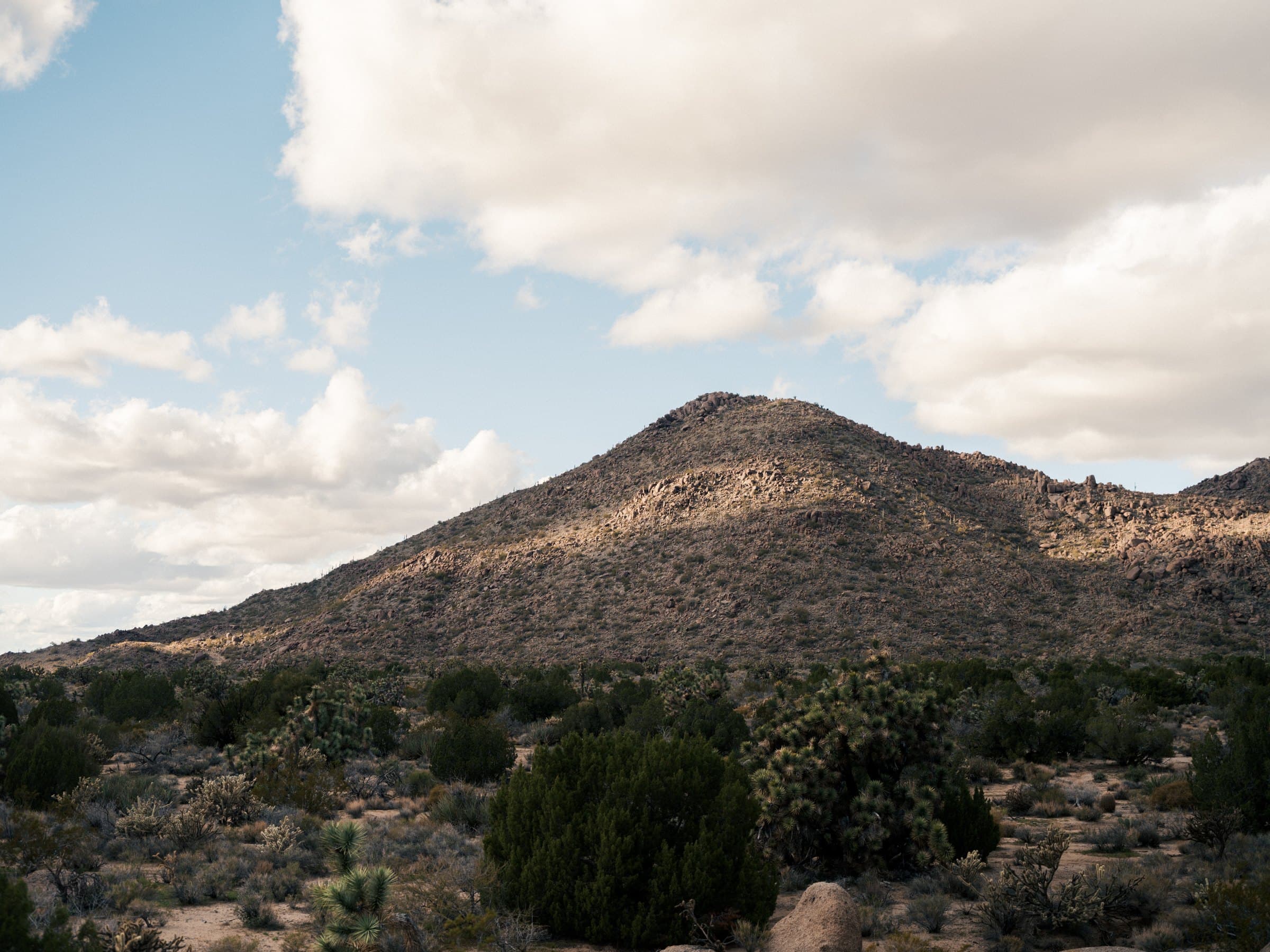 A rocky desert hill with scattered boulders and a band of exposed rock below the summit, seen across a foreground of junipers, Joshua trees and low desert scrub under a blue sky with large white clouds.